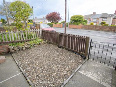 Picture 14